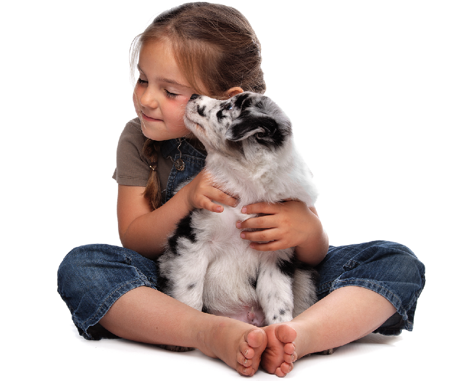 https://www.atuservicio.online/a_utiles/Carousel/R26_1022_Imagen.png