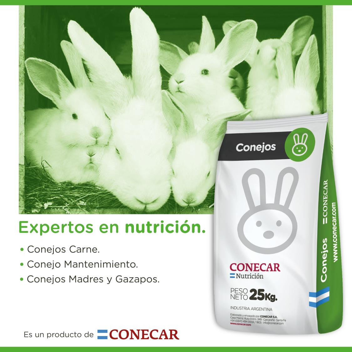 https://www.atuservicio.online/a_utiles/IMAGENPRODUCTOS/R14_10118_Imagen1.jpg