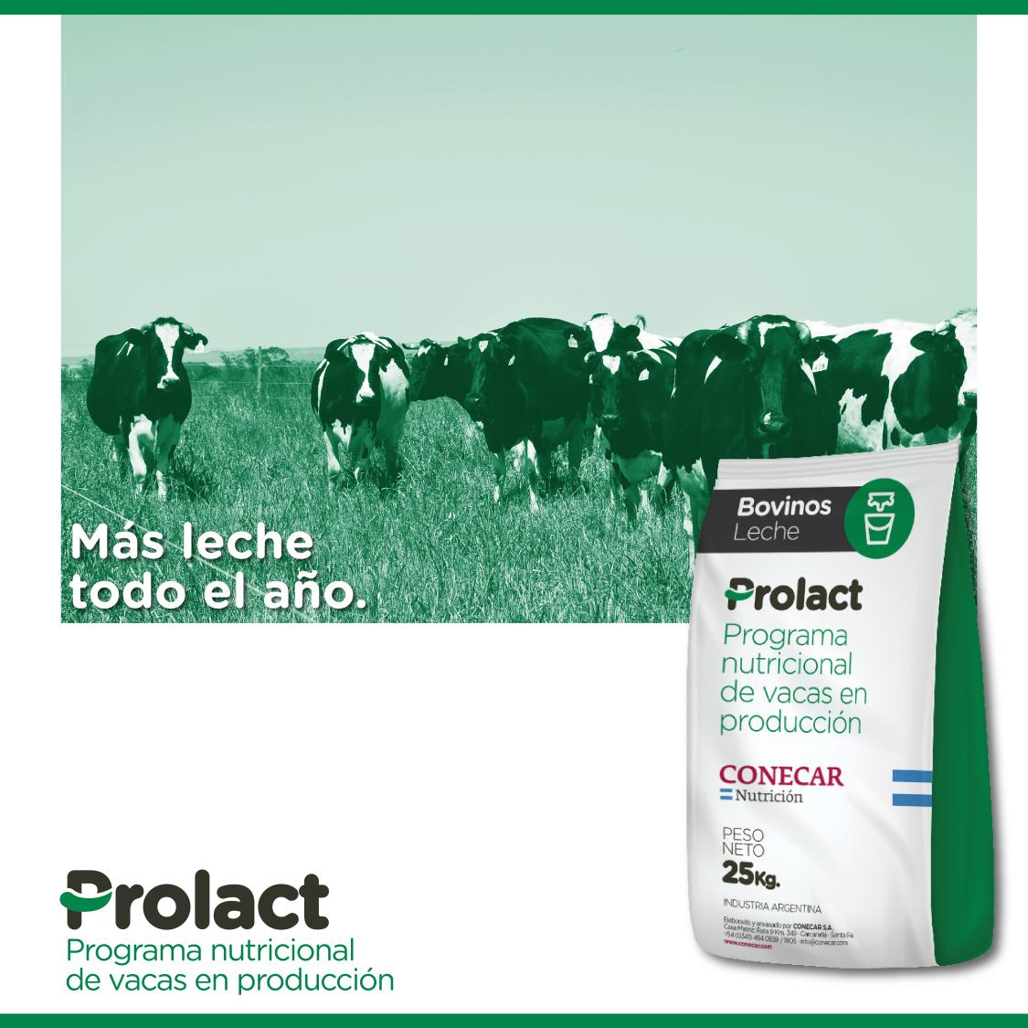 https://www.atuservicio.online/a_utiles/IMAGENPRODUCTOS/R14_10123_Imagen1.jpg