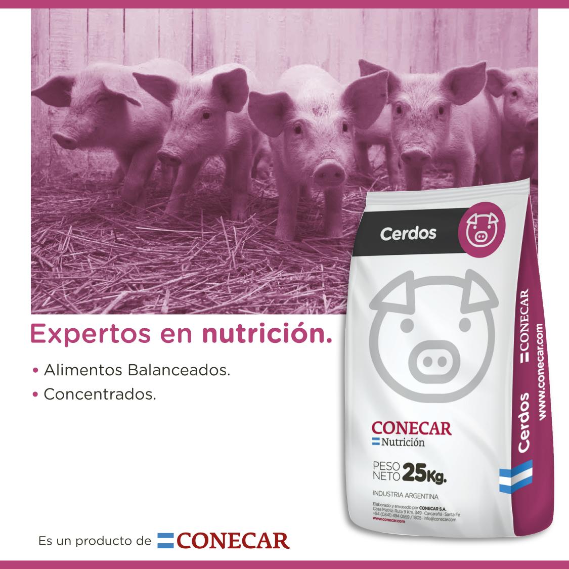 https://www.atuservicio.online/a_utiles/IMAGENPRODUCTOS/R14_10124_Imagen1.jpg