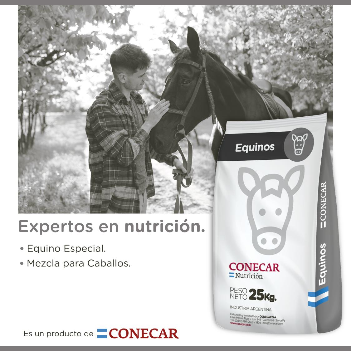 https://www.atuservicio.online/a_utiles/IMAGENPRODUCTOS/R14_10128_Imagen1.jpg