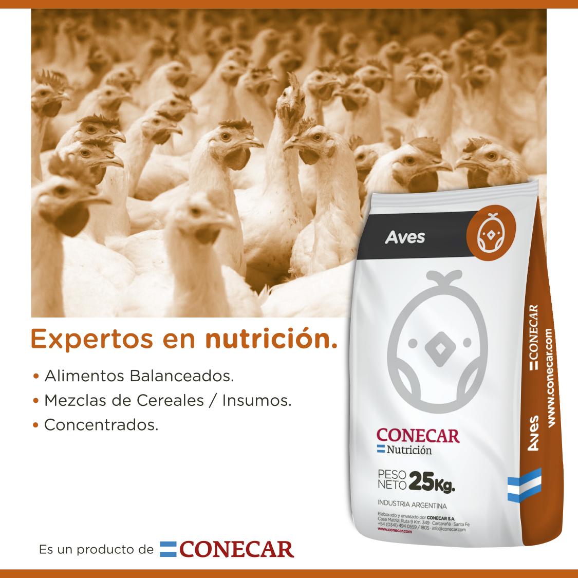 https://www.atuservicio.online/a_utiles/IMAGENPRODUCTOS/R14_10135_Imagen1.jpg