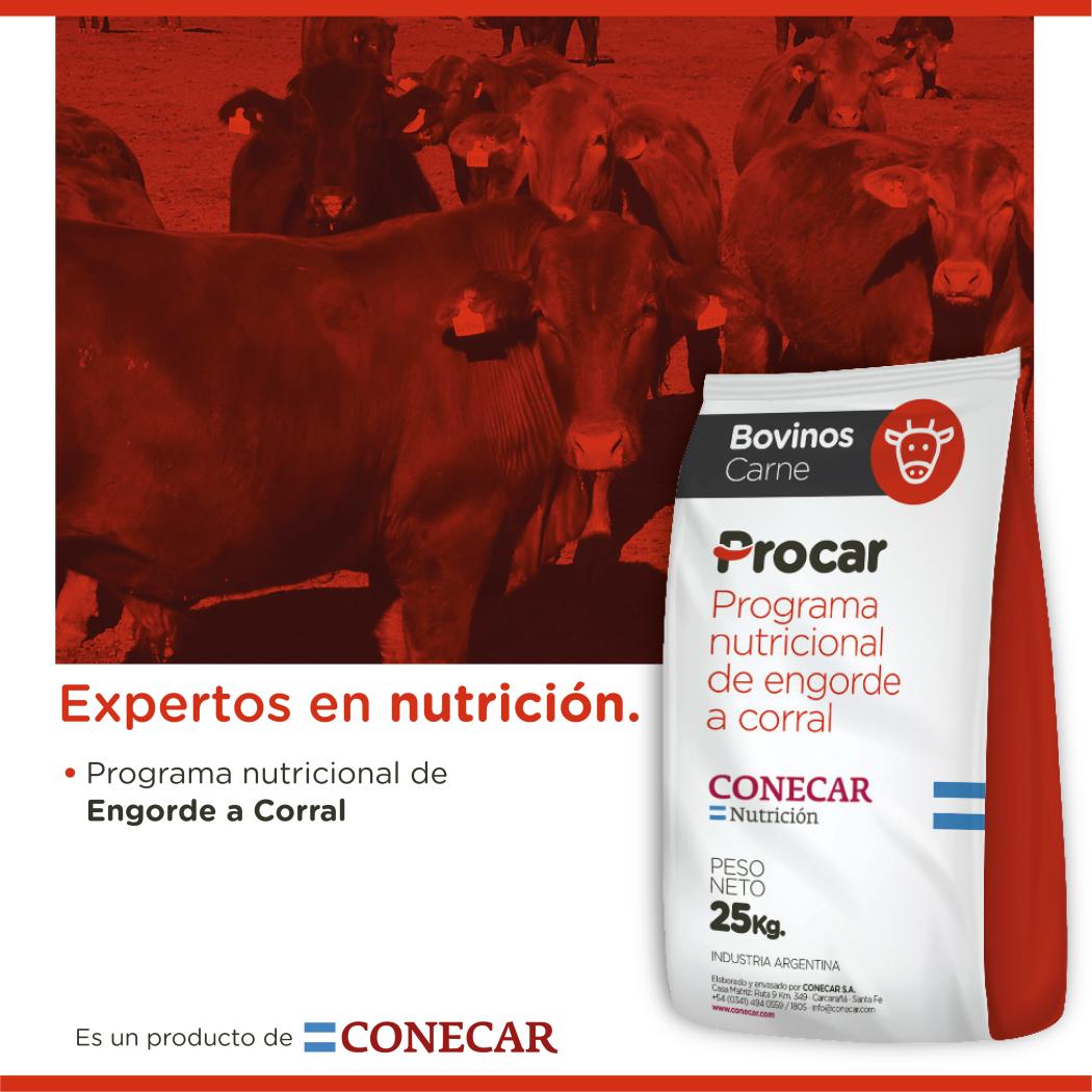 https://www.atuservicio.online/a_utiles/IMAGENPRODUCTOS/R14_10138_Imagen1.jpg