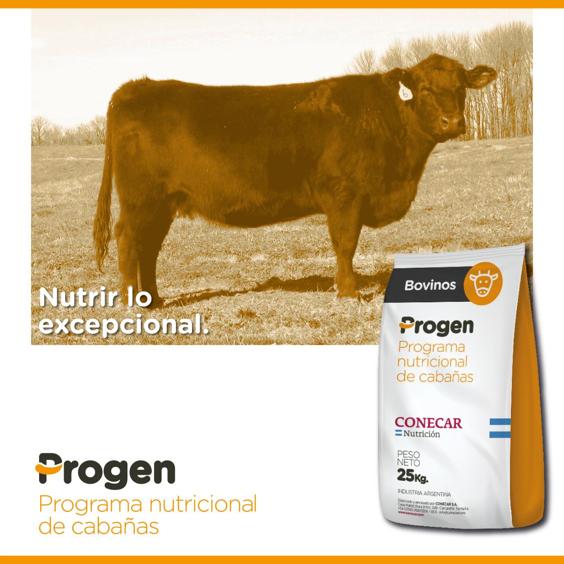 https://www.atuservicio.online/a_utiles/IMAGENPRODUCTOS/R14_10146_Imagen1.jpg