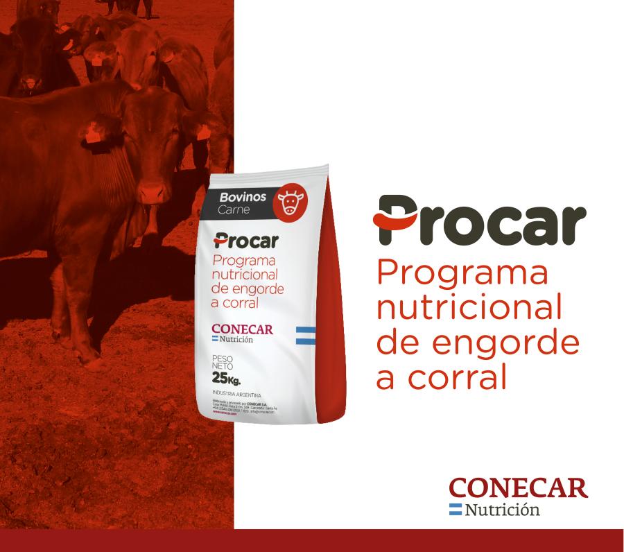 https://www.atuservicio.online/a_utiles/IMAGENPRODUCTOS/R14_10147_Imagen1.jpg